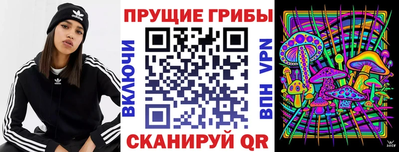 Галлюциногенные грибы Magic Shrooms  где можно купить наркотик  Кириллов 